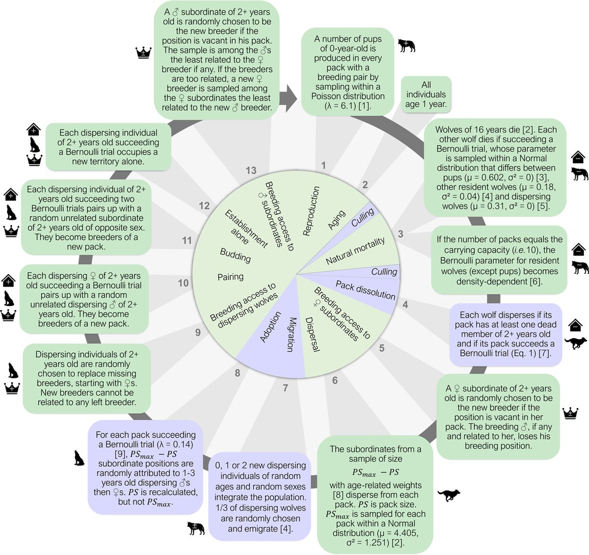 Wildlife Biology (@wildlifebiol) on Twitter photo Evaluating the effects of wolf culling on livestock predation when considering wolf population dynamics in an individual-based model nsojournals.onlinelibrary.wiley.com/doi/10.1002/wl… #wolves #management #culling <a href="/NordicOikos/">Nordic Society Oikos</a> <a href="/WileyEcolEvol/">Wiley Ecology & Evolution</a> Evaluating the effects of wolf culling on livestock predation when considering wolf population dynamics in an individual-based model nsojournals.onlinelibrary.wiley.com/doi/10.1002/wl… #wolves #management #culling <a href="/NordicOikos/">Nordic Society Oikos</a> <a href="/WileyEcolEvol/">Wiley Ecology & Evolution</a>