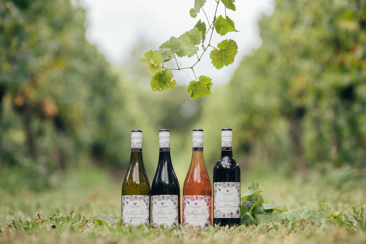 Mikey Mack tweet media