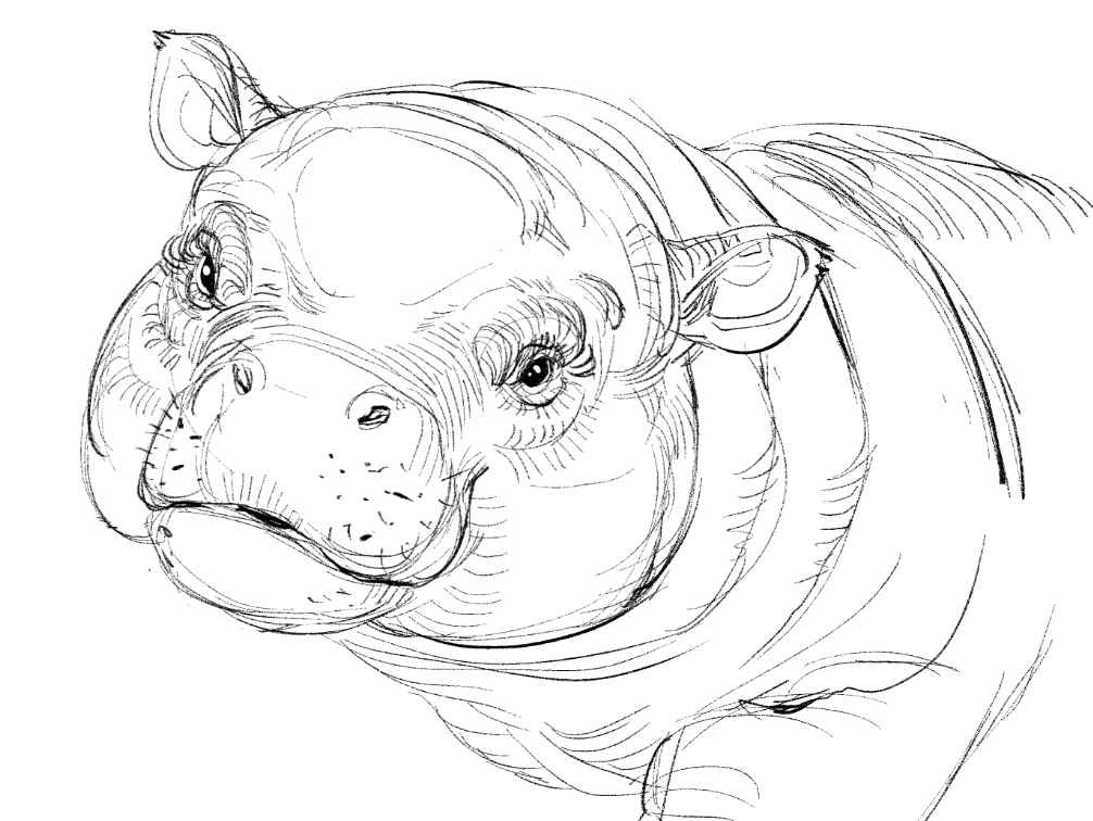 12catttt's tweet photo. hippo
#sketch https://t.co/V0APqB5HV2