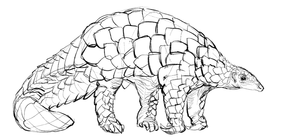 12catttt's tweet photo. hippo
#sketch https://t.co/V0APqB5HV2