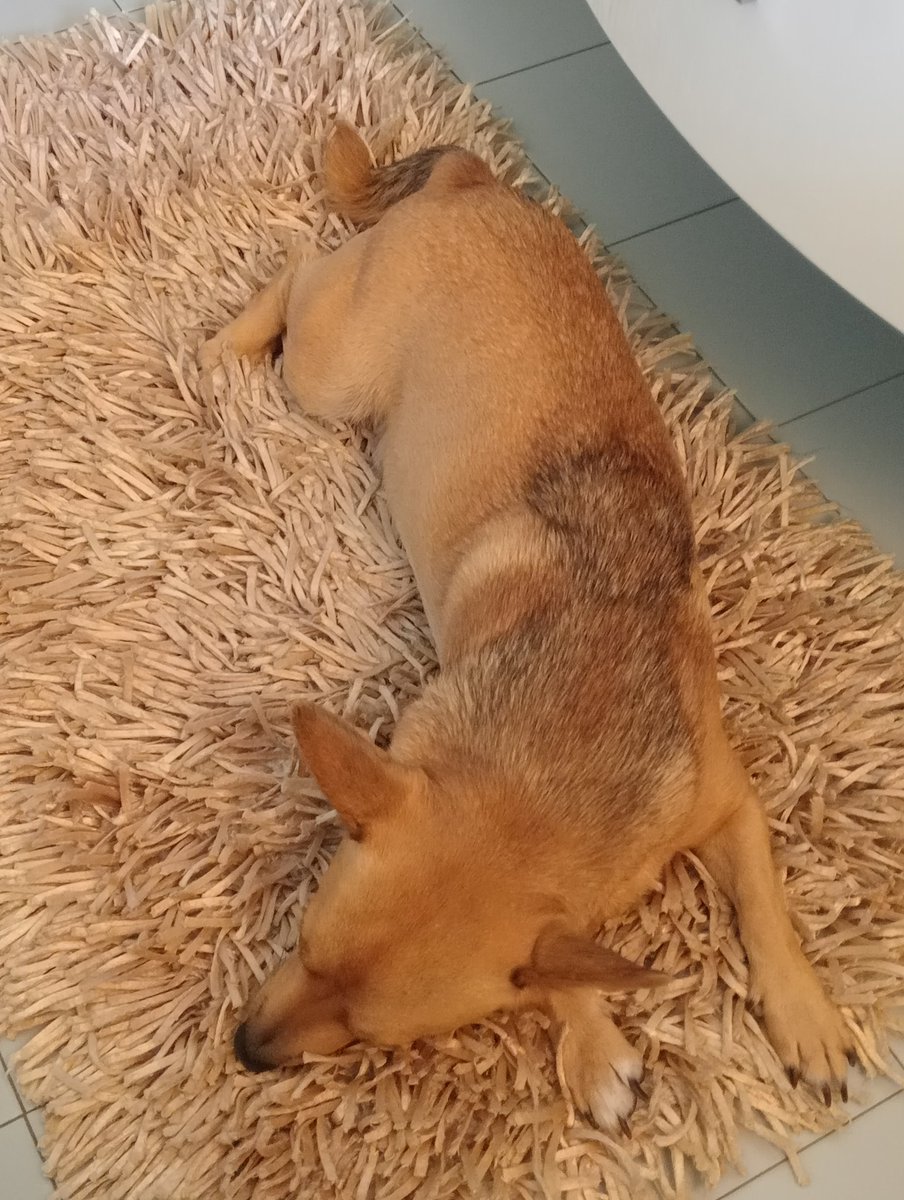 Il Mio 💗 Edo, si camuffa benissimo 😊