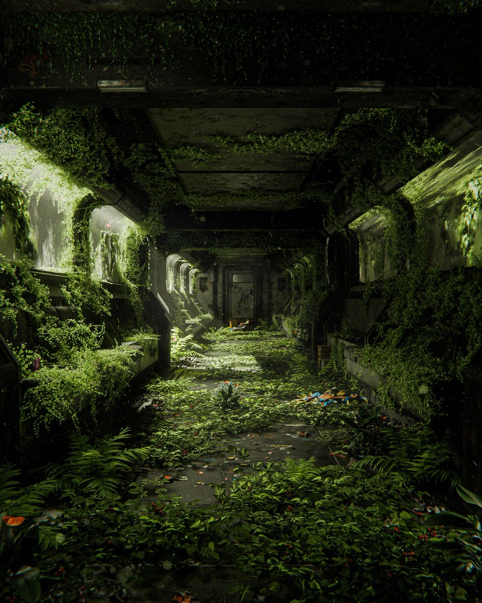 Nature's Reclamation