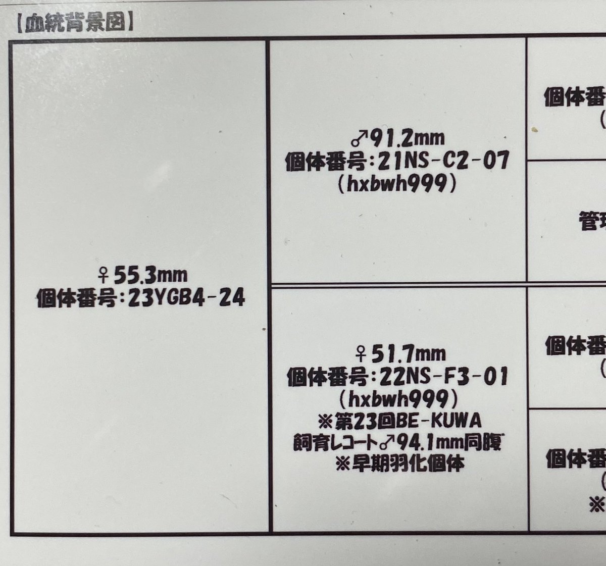 D_A_B_R's tweet photo. 来期用♀確保ー＼(^^)／
ありがとうございます😃 https://t.co/PHtdz5vZD7