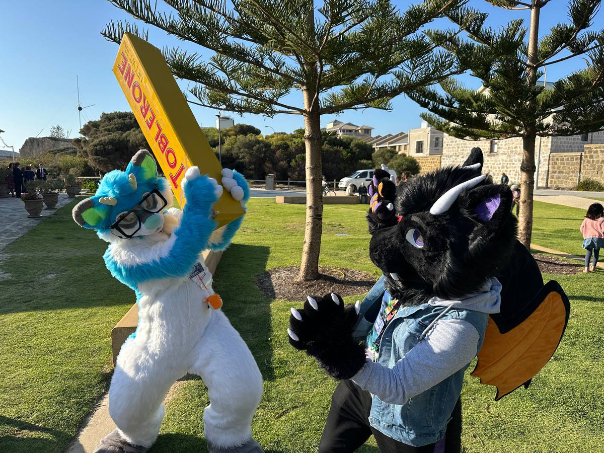LiquoriceDerg's tweet photo. @Dogfish111111 bonking me with a giant Toblerone
π·: @CeeZeePKMN
#waff2024 #westaussiefurfrenzy #toblerone https://t.co/IFIy3dj73J