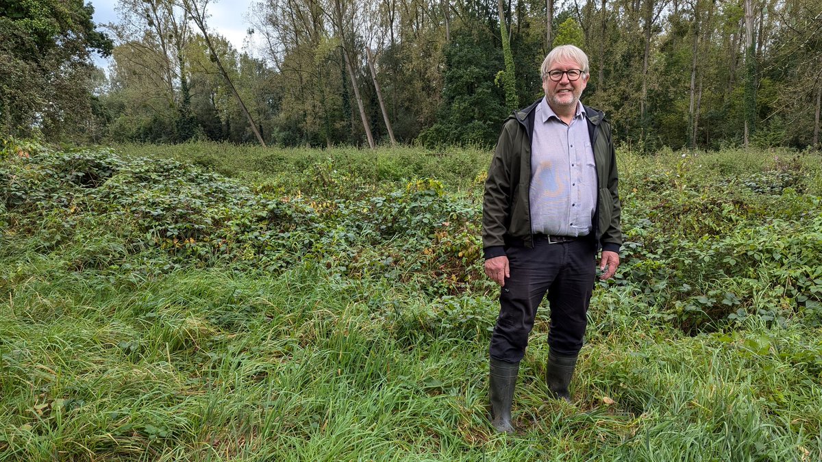 Werken aan overstromingsgebied in #TieltWinge starten eind oktober. Tussen de Tieltse Motte en de oude tramdijk voorziet de provincie <a href="/vlaams_brabant/">Vlaams-Brabant</a> een gebied dat 8.800 kubieke meter kan opvangen. #robtv #robnieuws