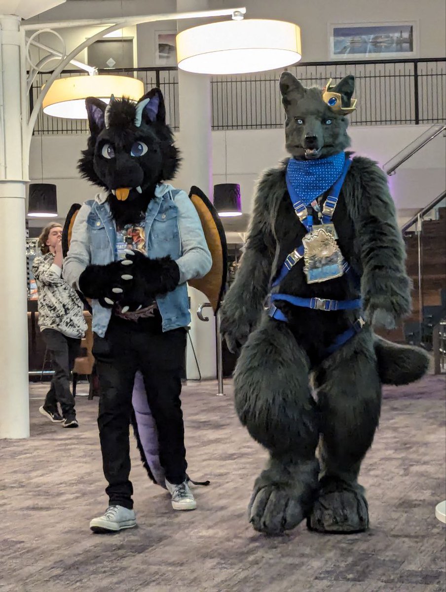 LiquoriceDerg's tweet photo. Some amazing pics taken before the rave on Sunday night with @Nerowuff
π·πͺ‘: @jesdenart
#waff2024 #westaussiefurfrenzy #perthfurs #dragonfursuit #wolffursuit https://t.co/C5yaf6Avvh