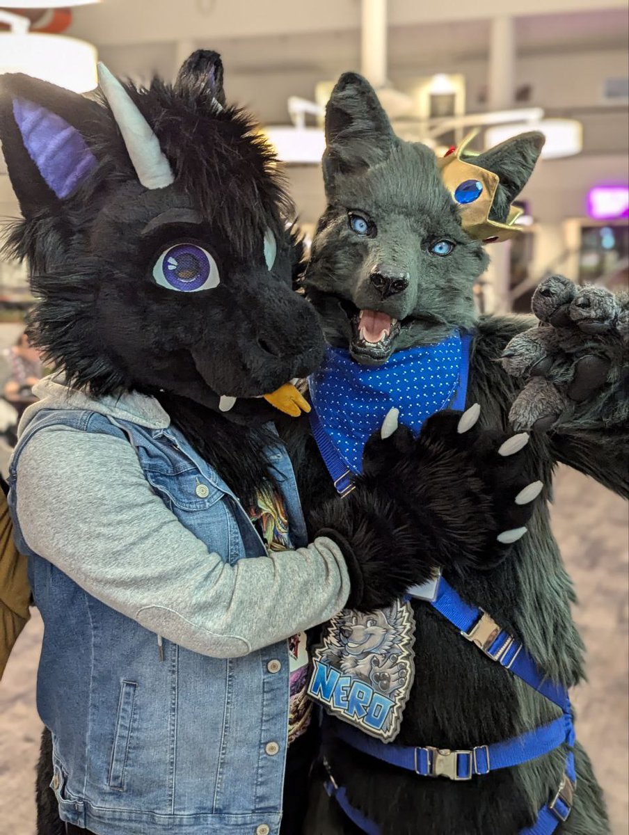 LiquoriceDerg's tweet photo. Some amazing pics taken before the rave on Sunday night with @Nerowuff
π·πͺ‘: @jesdenart
#waff2024 #westaussiefurfrenzy #perthfurs #dragonfursuit #wolffursuit https://t.co/C5yaf6Avvh