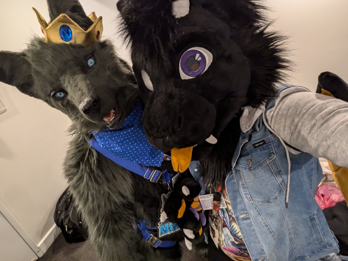 LiquoriceDerg's tweet photo. Some amazing pics taken before the rave on Sunday night with @Nerowuff
π·πͺ‘: @jesdenart
#waff2024 #westaussiefurfrenzy #perthfurs #dragonfursuit #wolffursuit https://t.co/C5yaf6Avvh