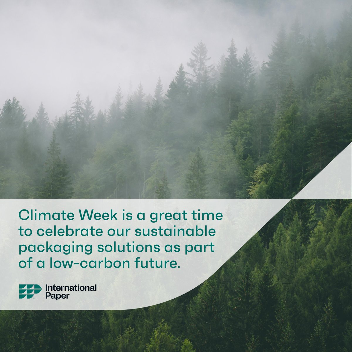 Climate Week NYC kicks off today in the Big Apple 🍎! We are excited to contribute to our renewable future, and who better to take over our social media channels than our Chief Sustainability Officer, Sophie Beckham! During a week of panel appearances, look out for videos from