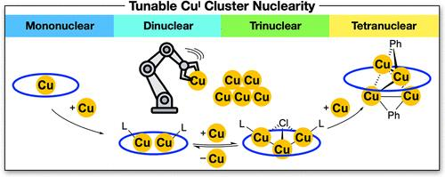 InorgChem's tweet photo. Wang et al. design a flexible macrocyclic ligand to synthesize copper(I) complexes of varying nuclearities with interesting dynamic behavior. Presenting our #TOCoftheWeek: https://t.co/v4oP2HDvwa https://t.co/b1t42yChiP