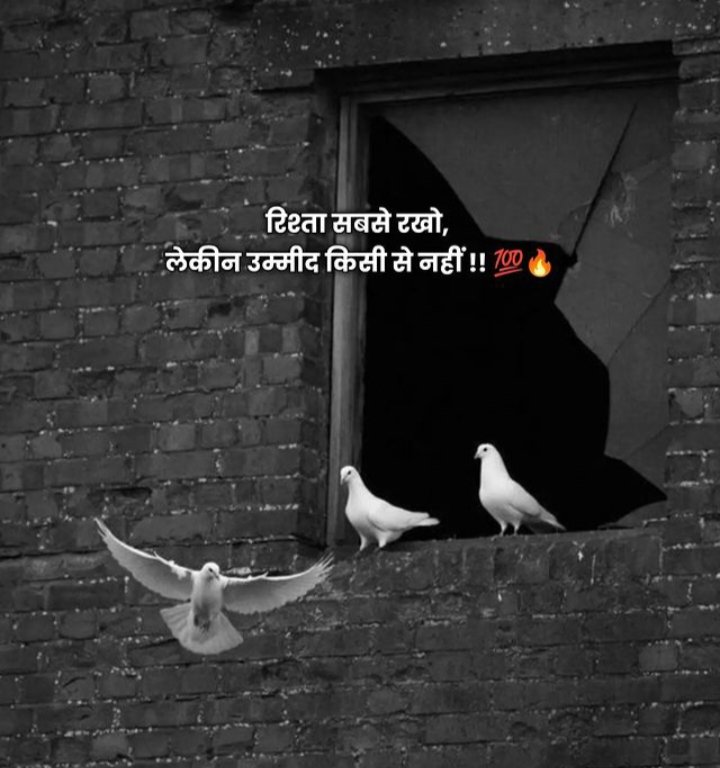 रिश्ता सबसे रखो, 

लेकिन उम्मीद किसी से नहीं 💯🙏