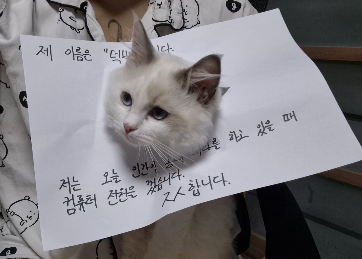 bean_mole_tofu's tweet photo. https://t.co/2jjD1iZjDE