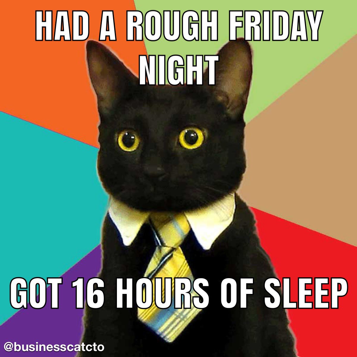 Business Cat's Advice : r/memes, image size:1200x1200