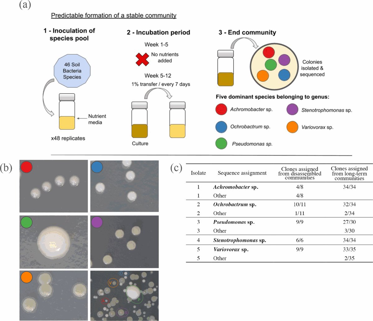 Characterizing a stable five-species microbial community for use in experimental evolution and ecology

-in Microbiology by <a href="/mcastledine96/">Meaghan Castledine</a> et al from <a href="/padpadpadpad/">Padd ♫</a> @ElzeHesse 

microbiologyresearch.org/content/journa…