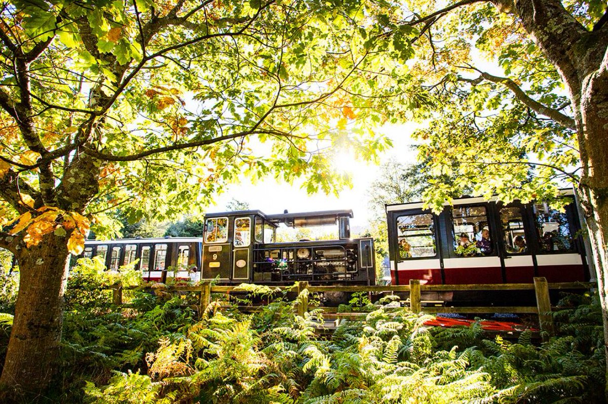 Snowdon Mountain Railway / Rheilffordd yr Wyddfa tweet media