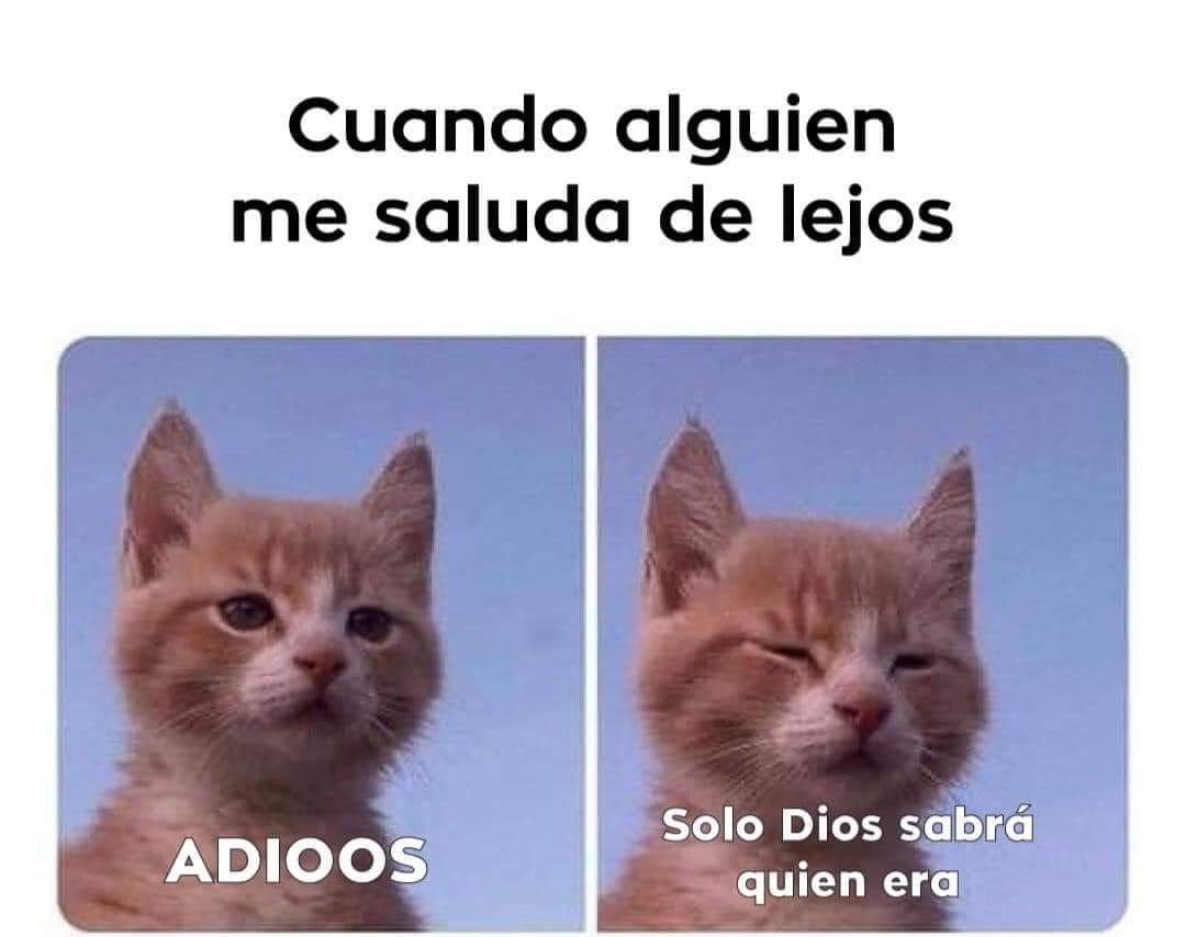🙋‍♂️🙋‍♂️🙋‍♂️🙋‍♂️🙋‍♂️🙋‍♂️
