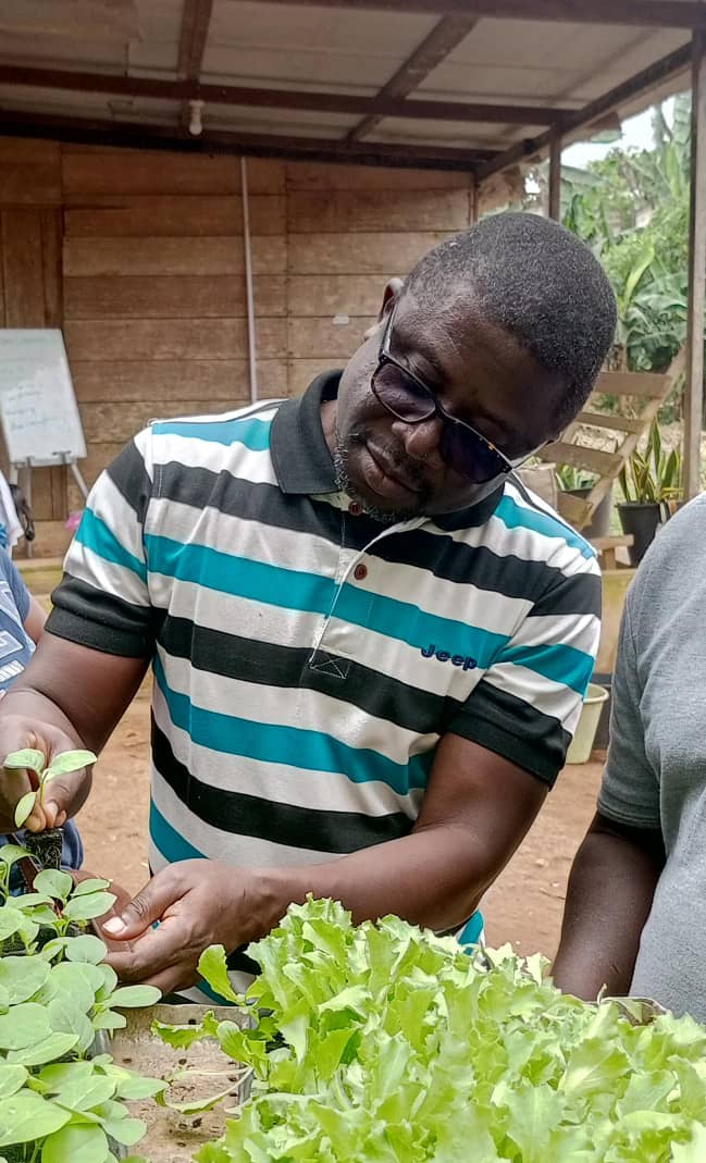 TechsheltaI's tweet image. Did you know there are best practices in reducing shock to plants when transplanting seedlings from the nursery to it&apos;s bed.

Join our training session to learn this and more.

#TSTI #training #learning #homegardening #practice #farming #agriculture #plants #nursery #seedlings
