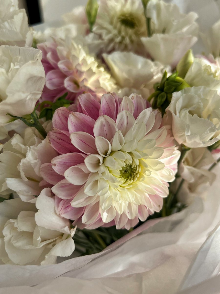 Твіт про те, як я отримувала подарунок від неймовірної жінки <a href="/vikseyyy/">квітну</a> через місяць після дн 🫶

Така іронія, що жили ми в одному місті (майже), але через графіки бачились нечасто 💔