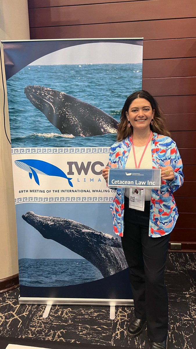 The 69th Meeting of the IWC has just started, and is being streamed live!: youtube.com/@IwcInt/streams

Cet Law is here, in Lima, Peru, supporting the work of conservation organisations working to defend the moratorium on commercial whaling 💪🐳🇵🇪
