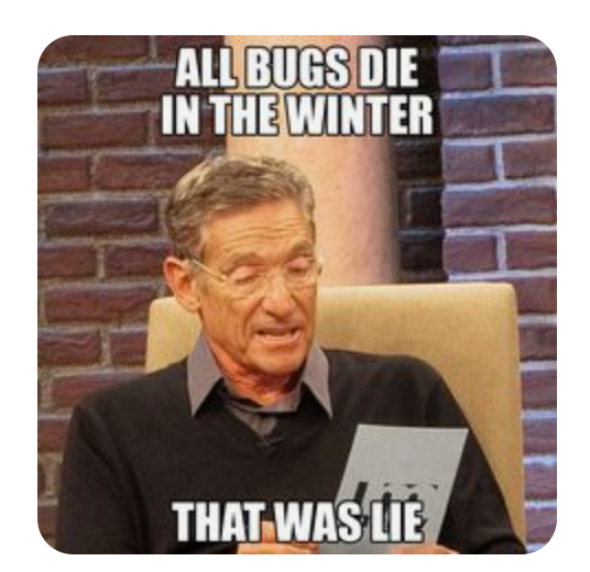 877DEADBUG's tweet image. Keep your guard up, they&apos;re not going anywhere. 📲 877-DEAD-BUG
.
.
.
#pestcontrol #deadbug #firstdayoffall