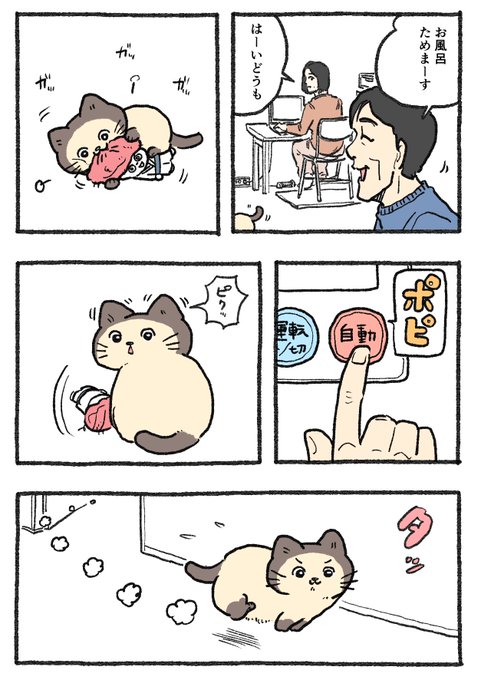 ねこに転生したおじさん。その554 | やじま@ねこおじ7・8巻予約中 さん