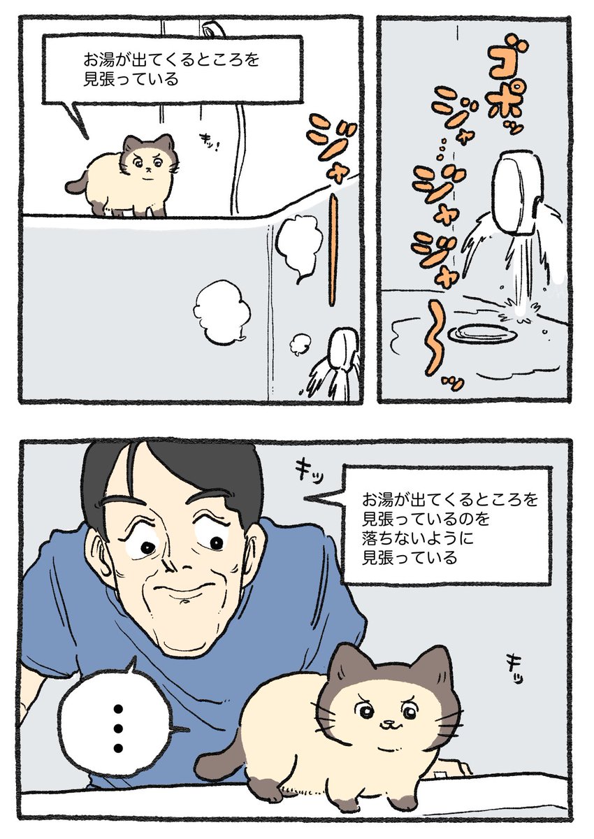ねこおじ様 ねこに転生したおじさん。その554