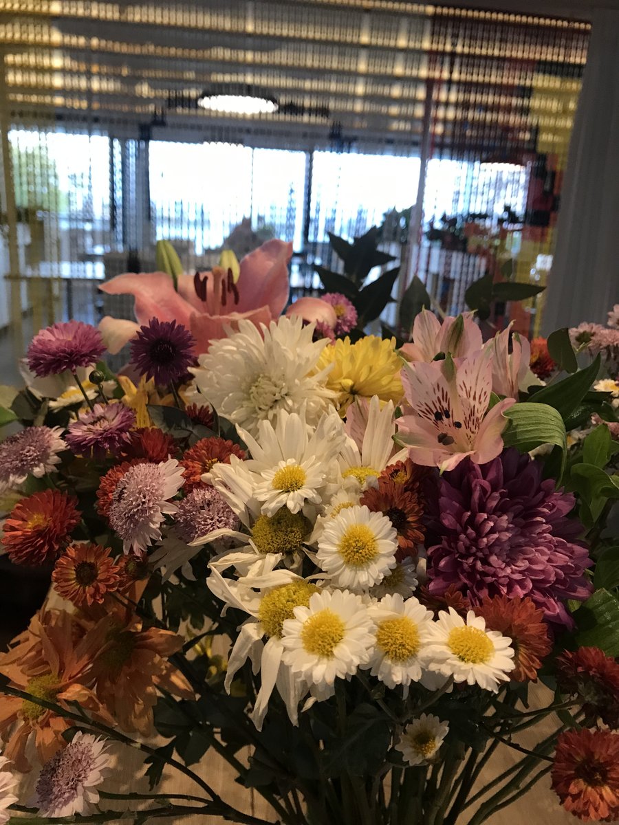 bitlogicos's tweet image. spring mood en nuestra casa y que lindas vibessss 🌼🌞💛

#InCodeWeTrust #BitDifferent #Bithouse