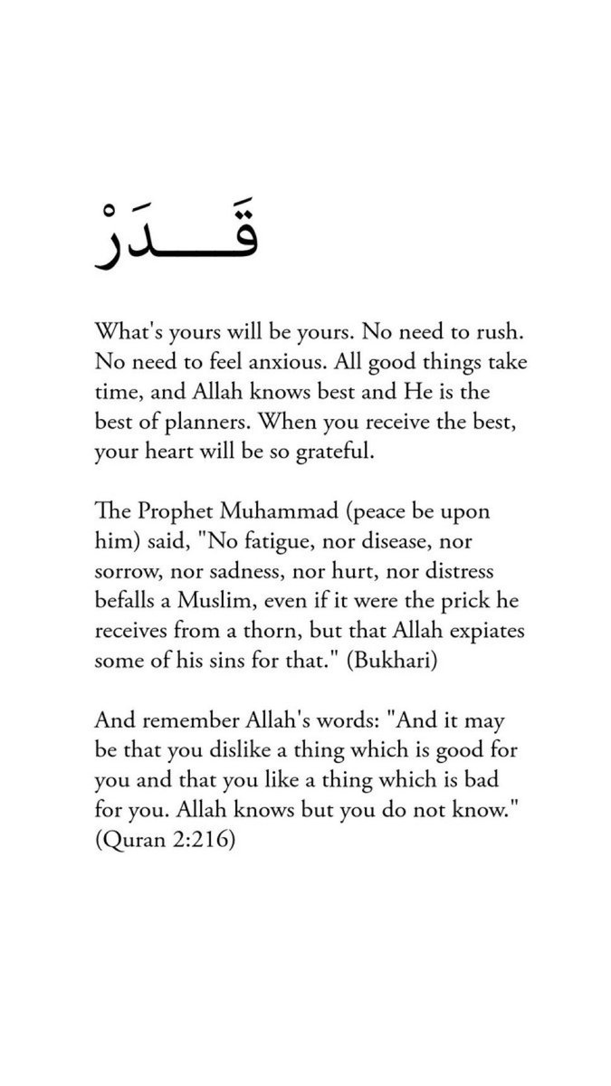 Al__Quraan's tweet image. What's yours will be yours.