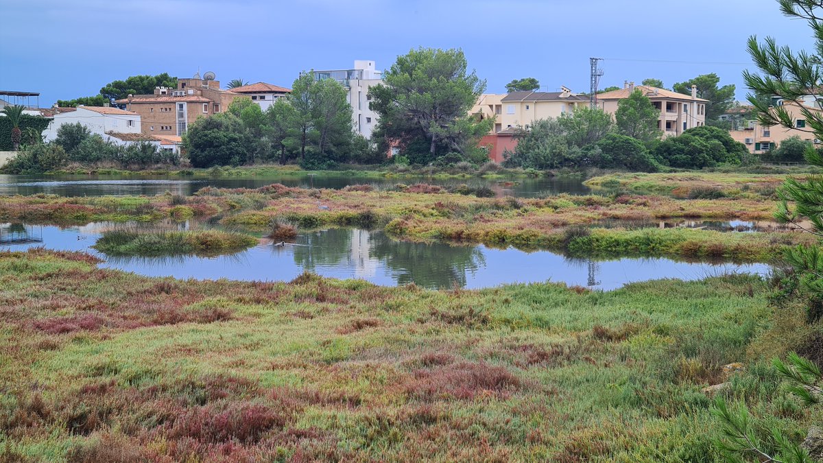 La Gola està preciosa després de les pluges i es pot gaudir de l'avistament de diverses espècies.