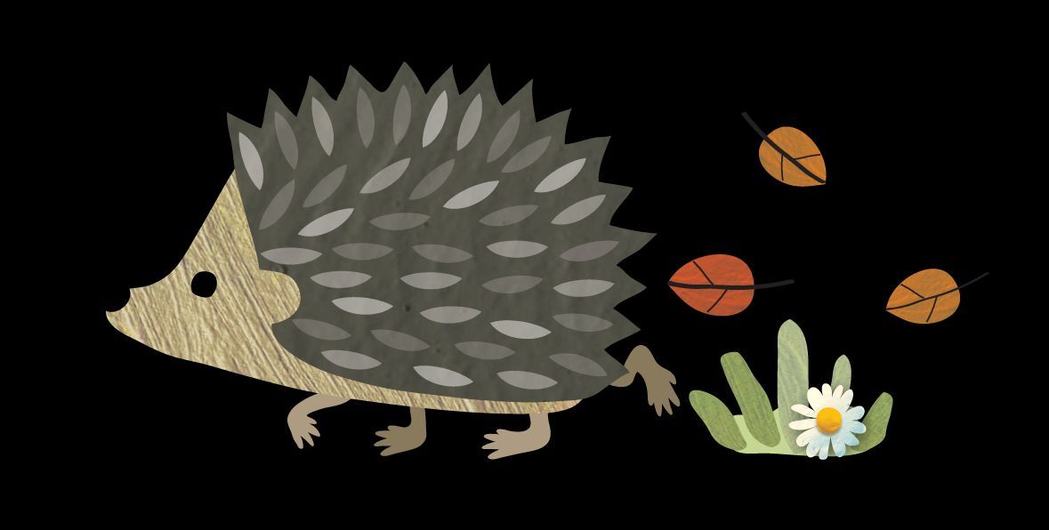 If you're tidying the garden, remember to check for #hedgehogs &amp; other #wildlife before mowing long grass, tidying wild patches, or turning compost heaps, as they are ideal places for a #hedgehog's nest!
🦔

Find more tips here👇
buff.ly/44DqrQY 

#MondayMotivation