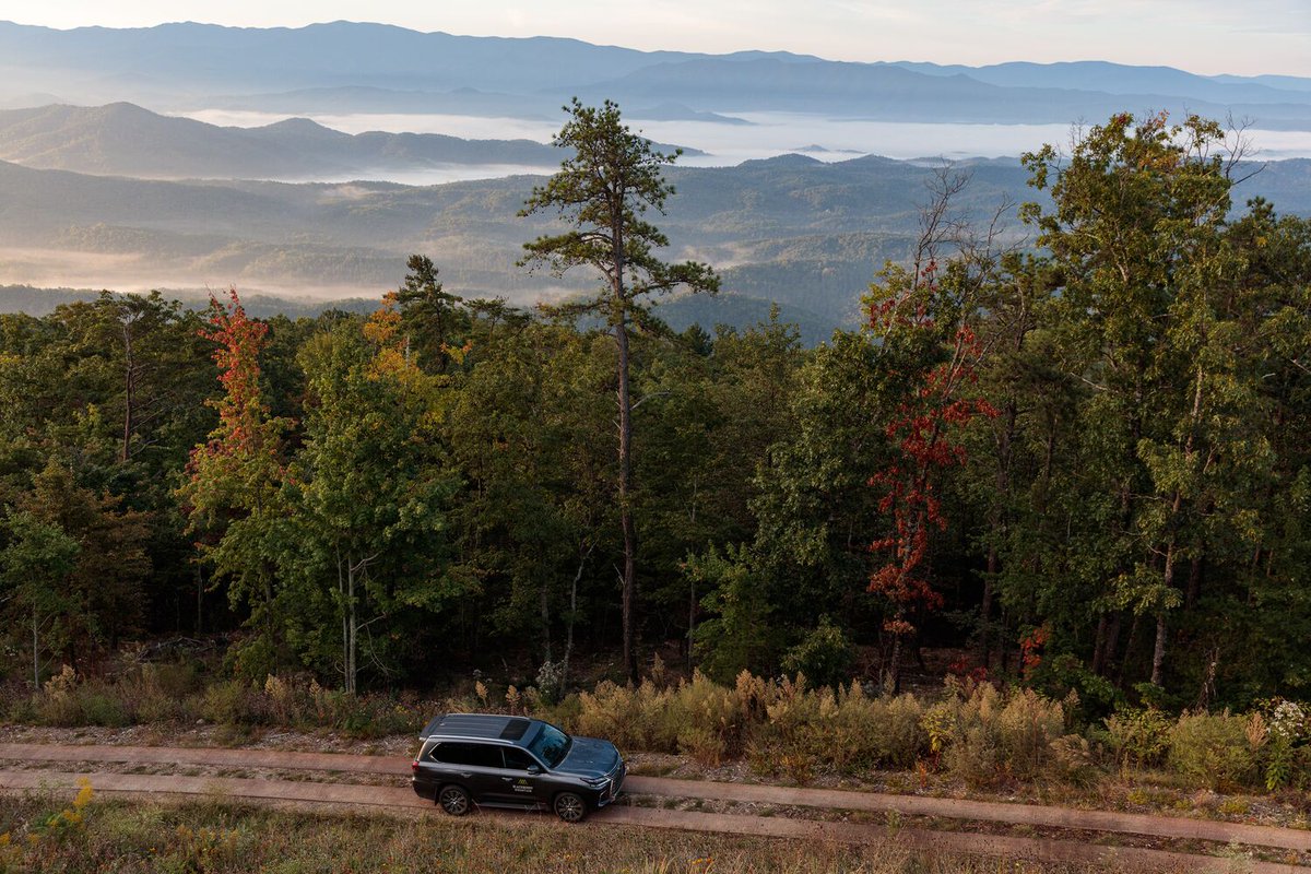 BMTNofficial's tweet photo. Can we get a little commotion for the views? #BlackberryMountain #BMTN #Firetower #LexusPartner #LexusUSA https://t.co/T9LciZLFLE