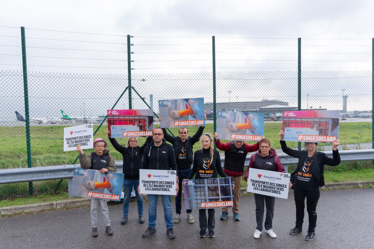 onevoiceanimal's tweet photo. #SingesDeLabo #ExpérimentationAnimale https://t.co/WNdimotdQa