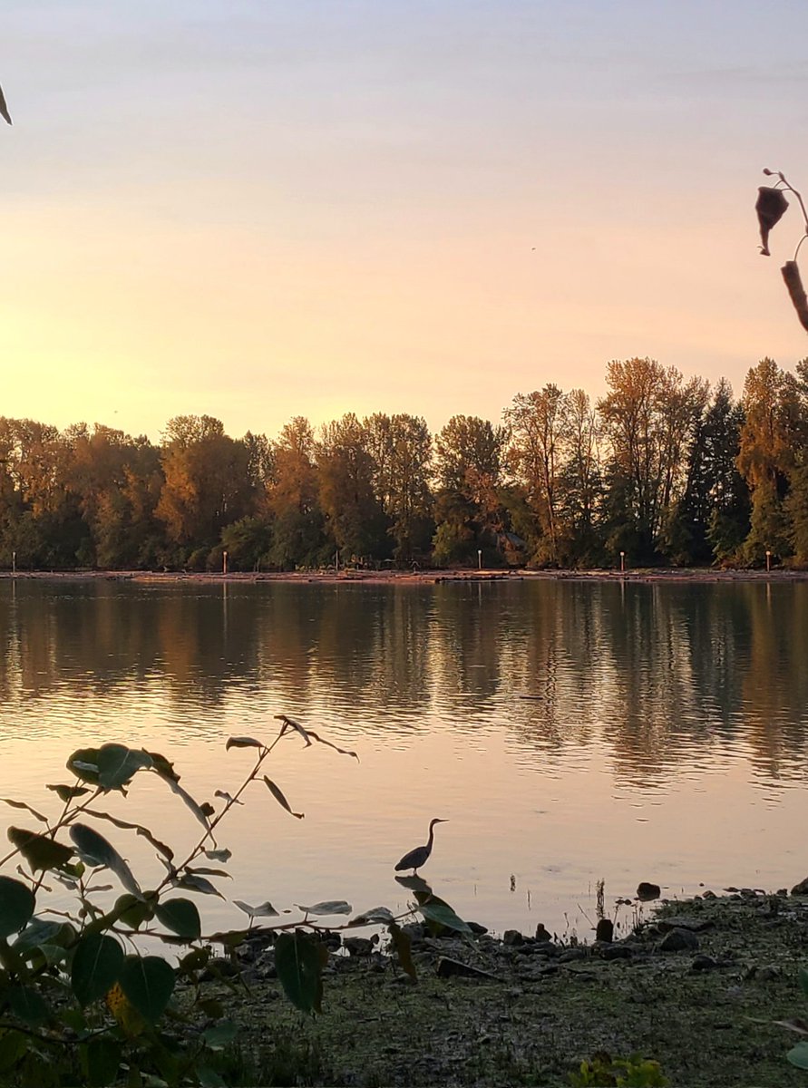 howyougo's tweet photo. Good morning Saturday, last day of summer!
#goodmorning #lastdayofsummer #bcstormwatch #sunrise #moon #summerinthecity #Vancouver #StormHour #Saturdaylicious #SummerVibes #FraserRiver #mtbaker #harvestmoon #byebyesummer #Saturday #Westcoast #shareyourweather https://t.co/ZOUoKD2xuC