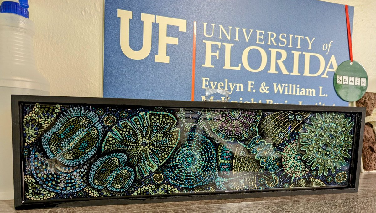 Rebecca Key, Ph. D. tweet media