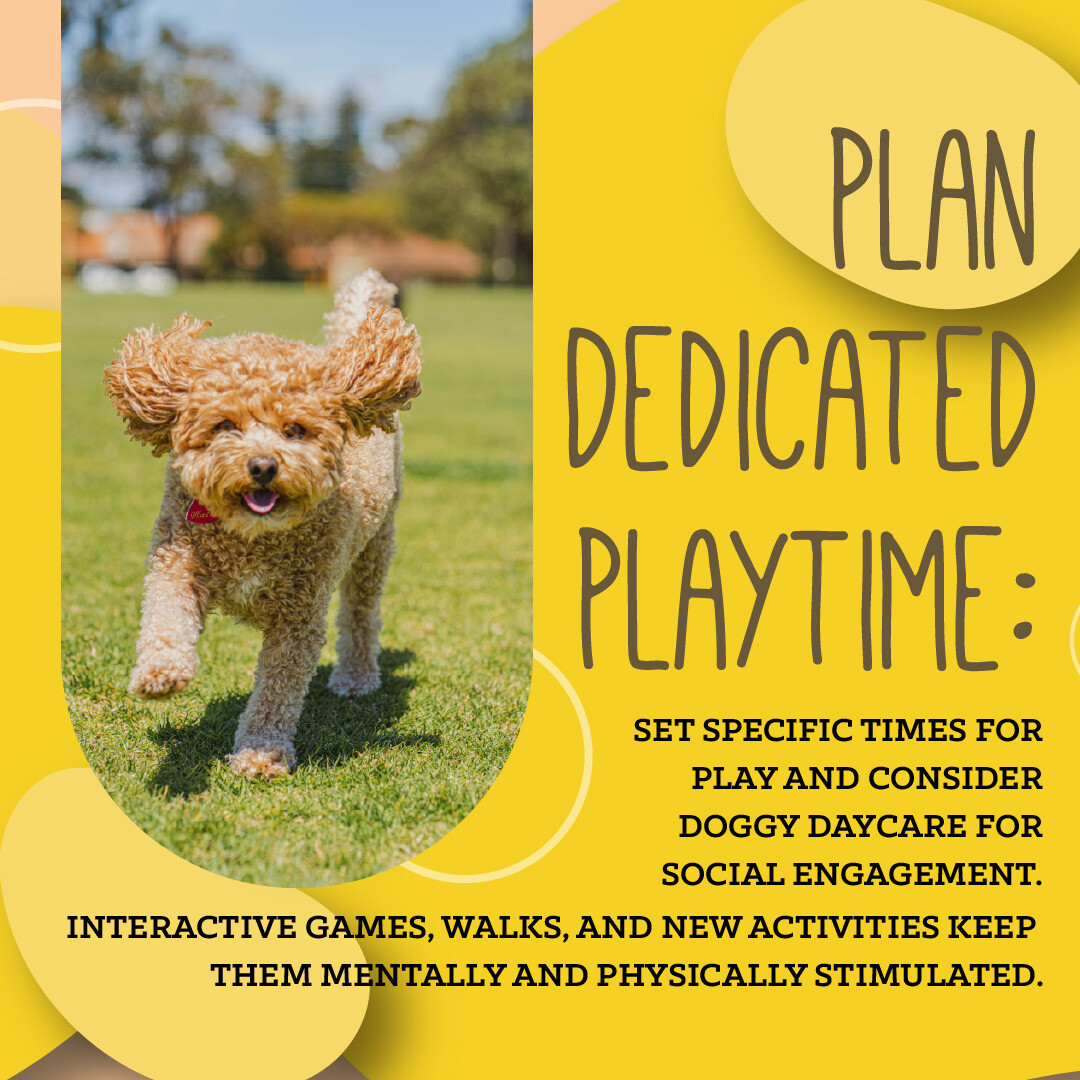 bestfriendspc's tweet image. 🍂🐾 THEME OF THE MONTH: Prepping Your Pets for the Fall Season 🍂🐶
By creating a predictable routine, you'll help your pup transition smoothly into the fall season. 🍂🐾 #FallPetPrep #DogRoutine #PetWellness