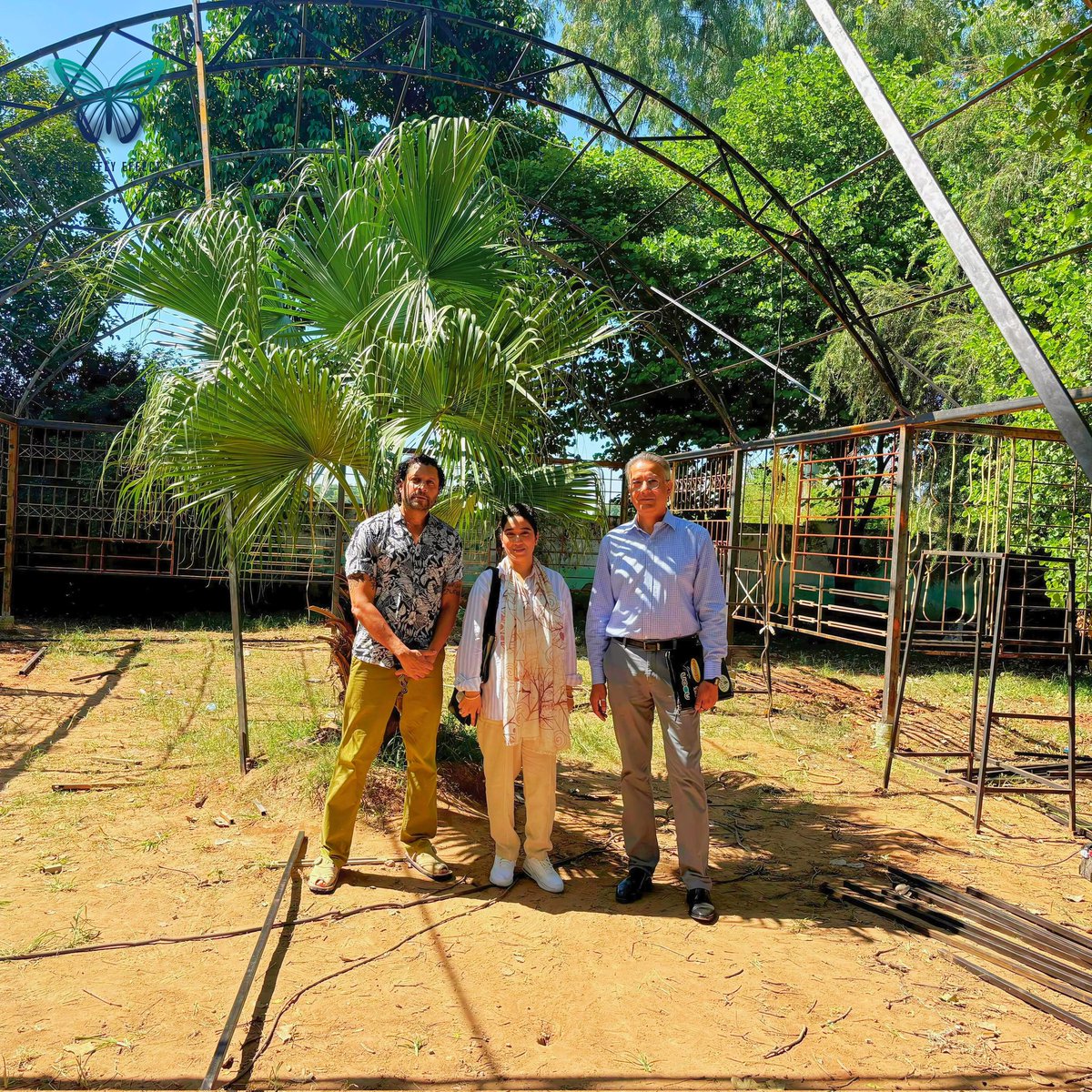 b_e_universe's tweet photo. Our visionary leaders - Founder Bilal Musharraf, Chief Program Manager Shereen Abdullah, and Chief Architect Zain Mustafa - visited the Butterfly Conservatory construction site at IMSG (1-X),NHC Islamabad. #ButterflyEffect #EcoFriendlyArchitecture #Sustainability https://t.co/JhwwZBPiAv