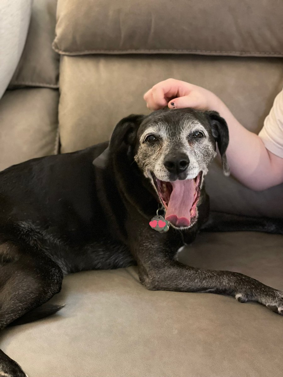 Guy Arbiter (@asympu) on Twitter photo 