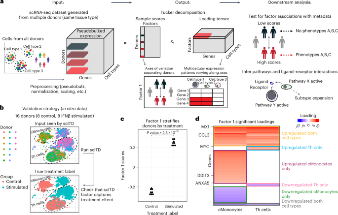 Coordinated, multicellular patterns of transcriptional variation that stratify patient cohorts are revealed by tensor decomposition go.nature.com/47ARizC