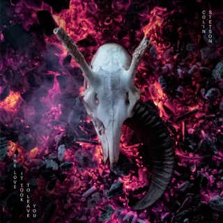 Colin Stetson tweet media