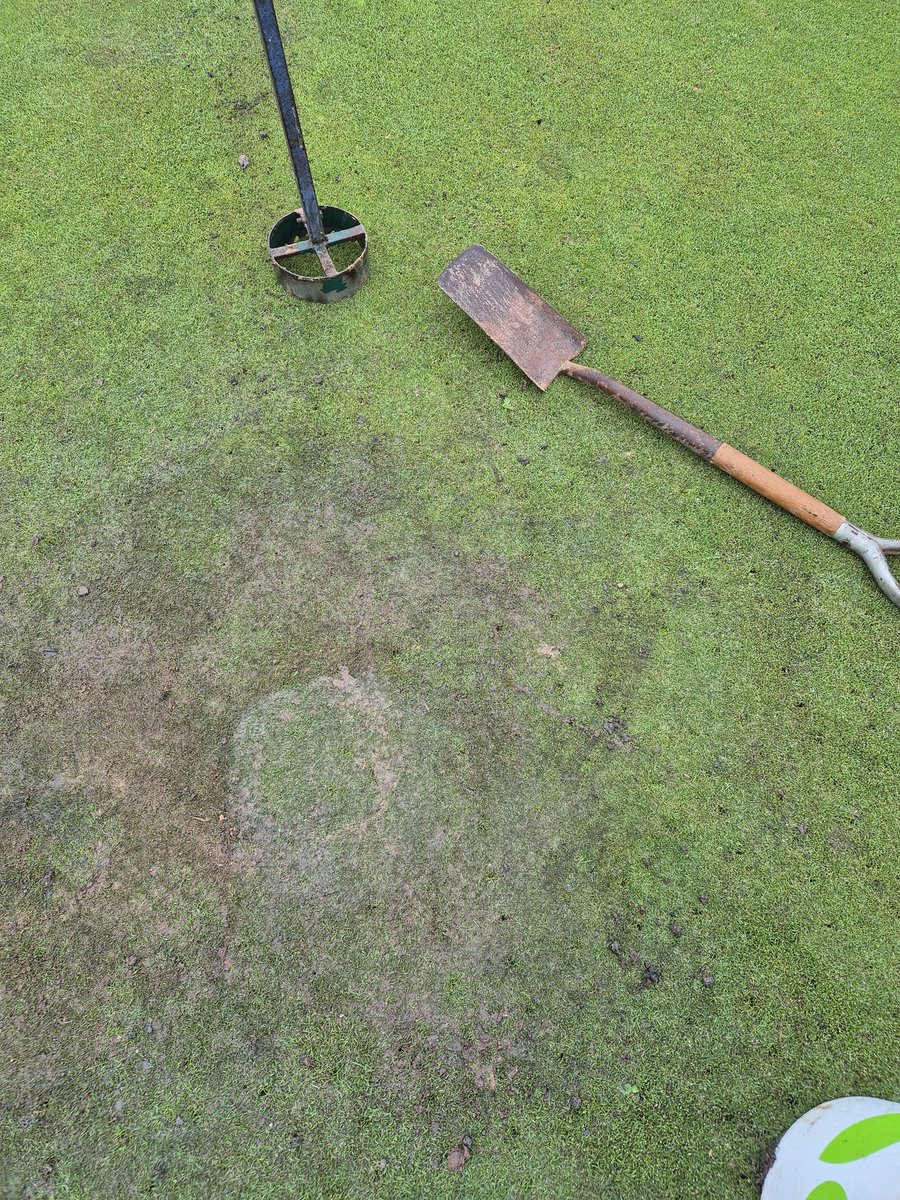 Stewart 𓅪 tweet media