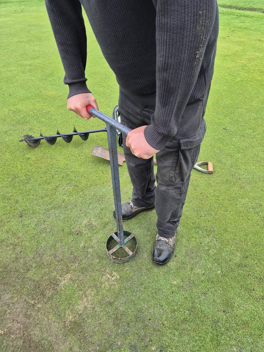 Stewart 𓅪 tweet media