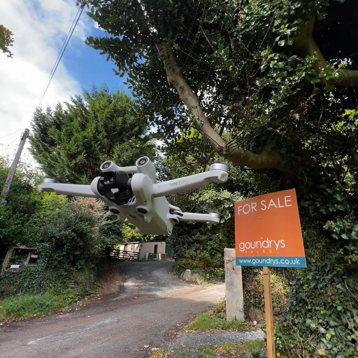 Bluekite Creative tweet media