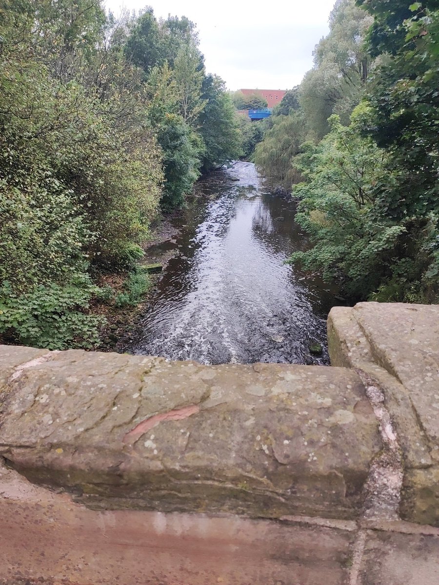 Dominic Sexton 💙 tweet media