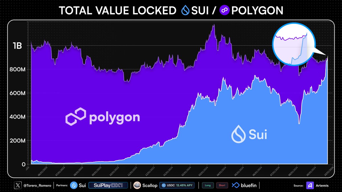 ToreroRomero tweet media
