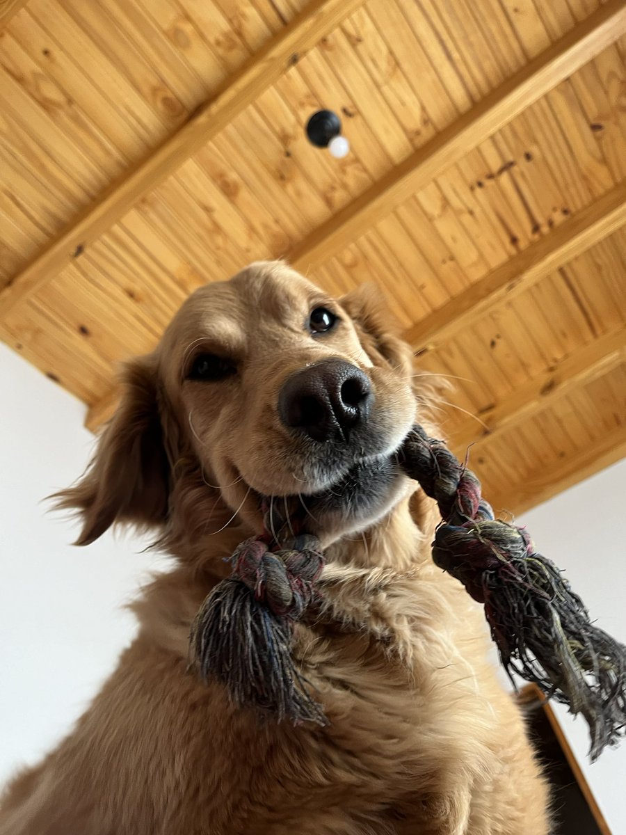 Buen día para ustedes desde Tunuyan Mendoza #nadiedicenada