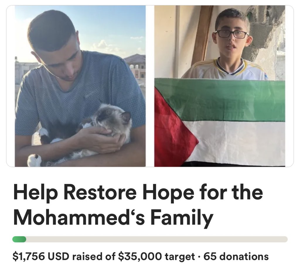 The largest donation received so far is 300$. One donation made a big difference in our goal. Can someone donate more? Anyone who can donate according to their ability can influence this road for and save my family ,my bro Amir and my cat leo🤍

gofund.me/a6175c89