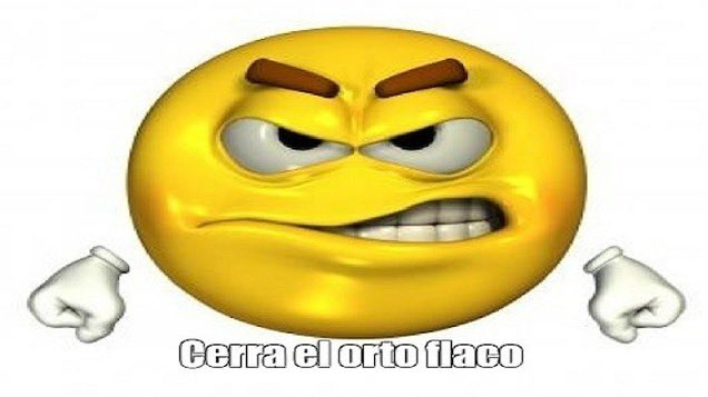 fede tweet media