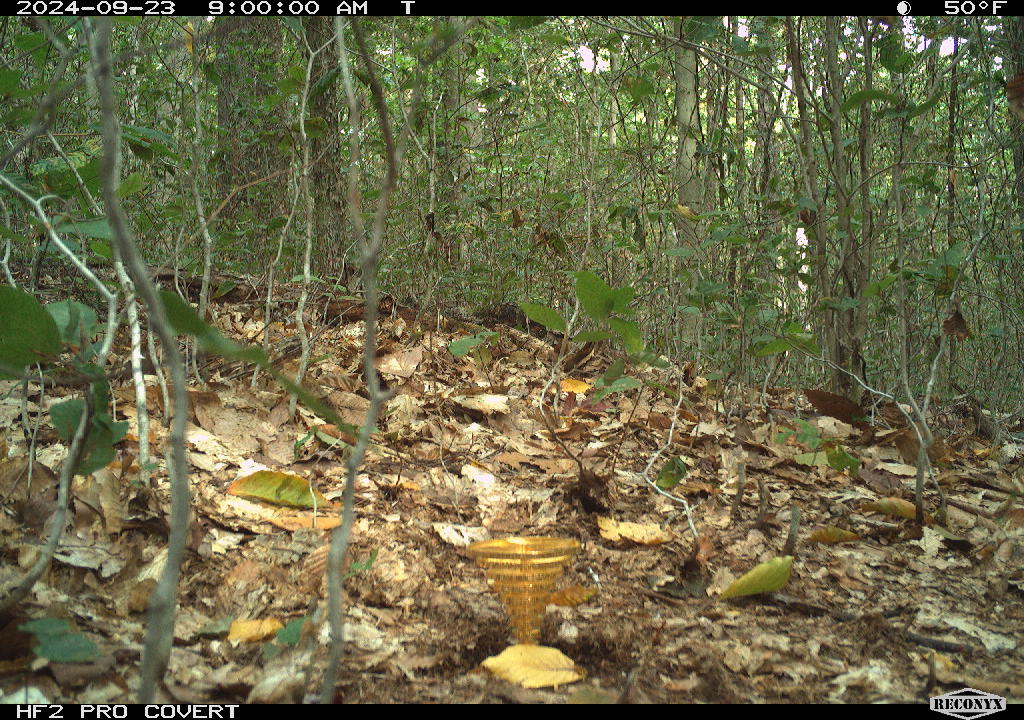 The circle just shrank.  The treasure is still there.  Now worth over $38,000