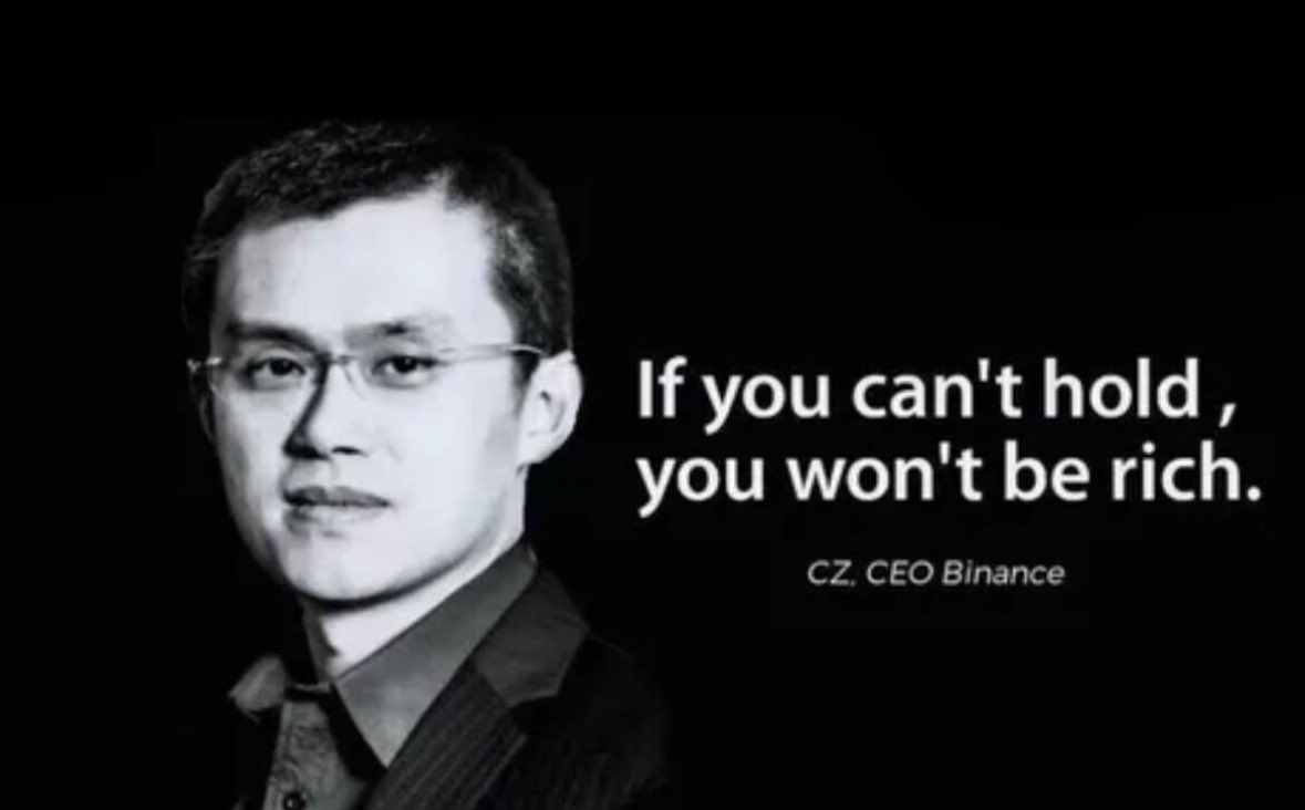 Everyone should take a note of what our hero CZ said

If you can't hold you won't be rich

Hold HOMS? To fly to the moon?