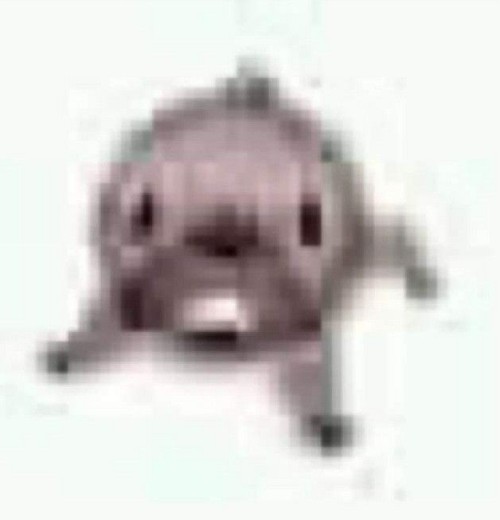 w1nter_king's tweet photo. @NaocchiUwU ________ https://t.co/AIU8XUR6K8